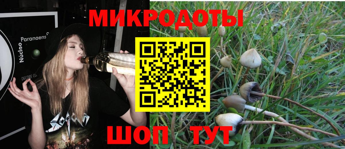 дарнет шоп  Вход с VPN  Елец  Галлюциногенные грибы Psilocybine cubensis  Галлюциногенные грибы Psilocybine cubensis 